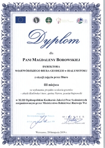 Dyplom Pani Magdaleny Borowskiej